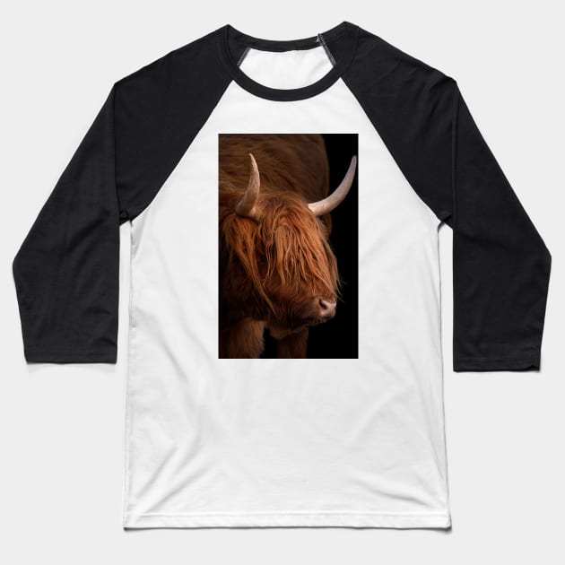 Scottish Highland Cow Baseball T-Shirt by dalekincaid